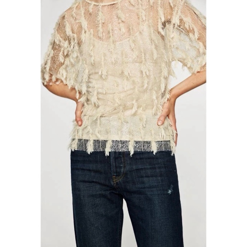 Zara feather fringe mesh lace top cream